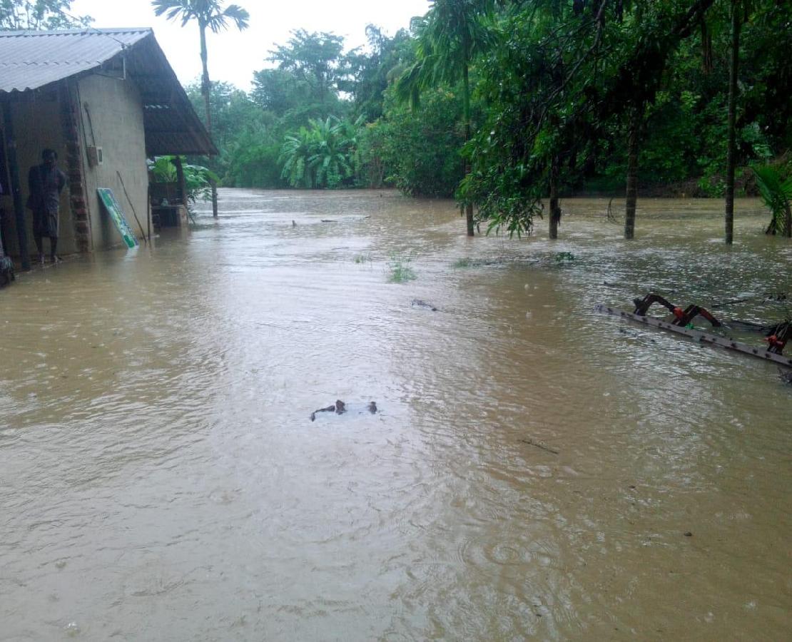 도로에 물이 차올라 집이 절반쯤 잠겨 있다.